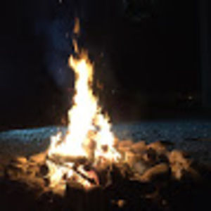 Meet your Posher, Janice